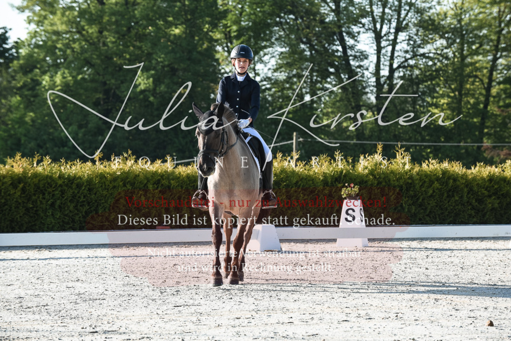 20230518_JK-Röhrsdorf-09-0017 | Pferde- und Turnierfotografie in Westsachsen. Pferdeportraits, Auftragszeichnungen und intuitive Kunst.
