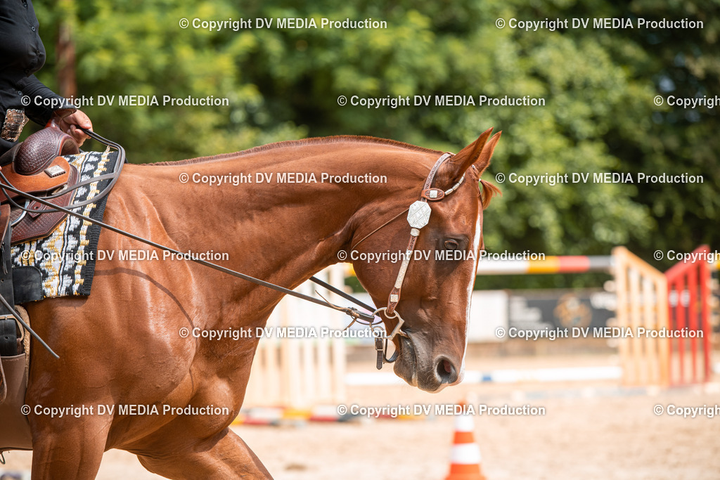 ZS2_7966 | dv-media-shop - Realisiert mit Pictrs.com