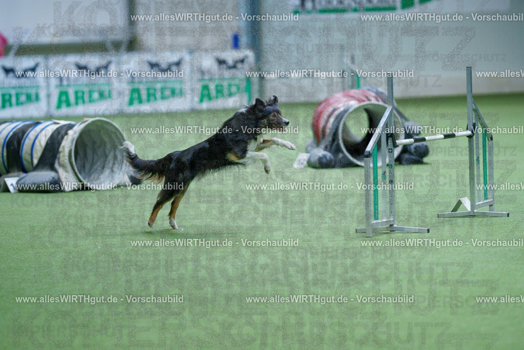 @allesWIRTHgut_Tierfotografie - www.allesWIRTHgut.de - 2604251102-7R500962 | Professionelle Tierfotografie in Mönchengladbach von Daniel Wirth (allesWIRTHgut). Liebevolle & natürliche Bilder von Hunden & Katzen für unvergessliche Erinnerungen.