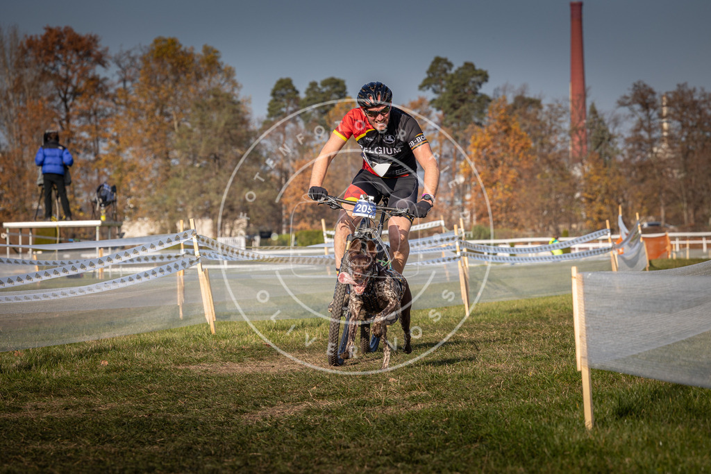 CaniXpix_0L8A7020 | Hundefotografie, Tierfotograf, Pfotenfotografie, Fotoshooting Hund, Hunde Portrait, Hundesport, Hundeportraits, Heideshooting, Hunde, Sportfotograf, Hundefotograf, Turnierhundsport, THS,  - Realisiert mit Pictrs.com