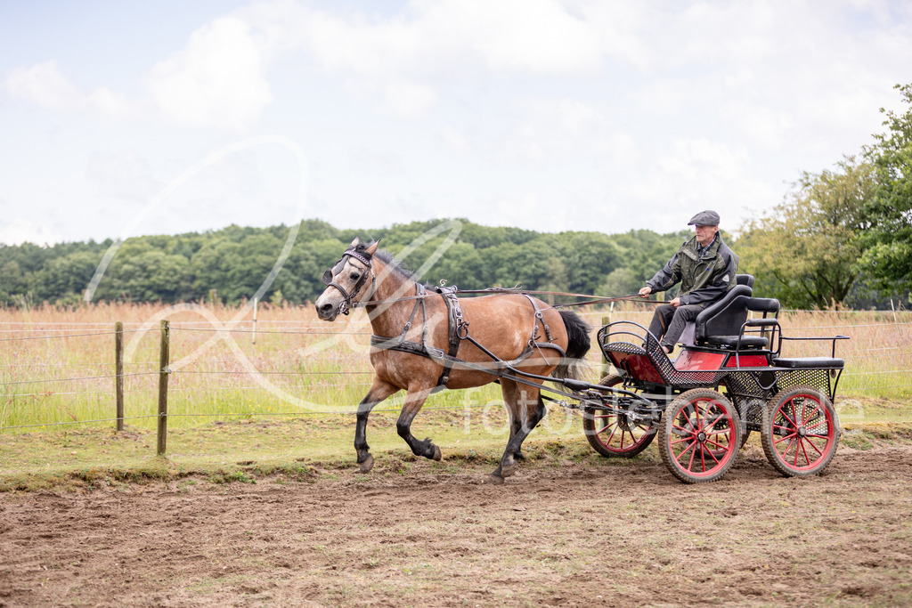 846A0612 | fotosleben - Realisiert mit Pictrs.com
