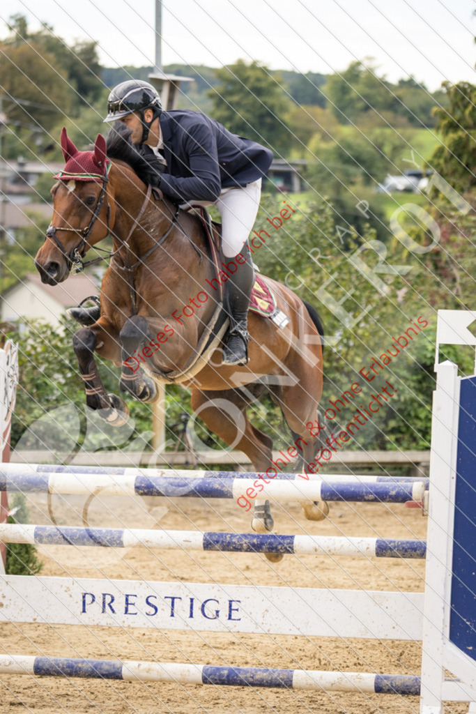 CON_6979 | Sport-, Event- und Tierfotos in Profiqualität. Einfach auswählen, bestellen und herunterladen. Dein Moment – perfekt festgehalten.
