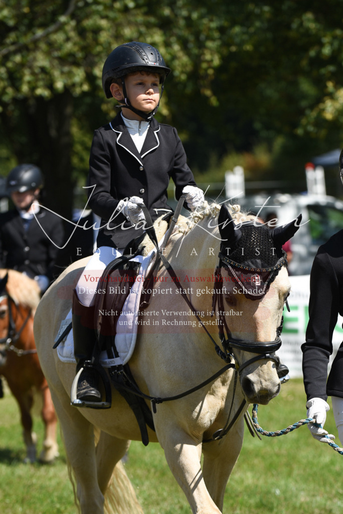 DSC_9681 | Pferde- und Turnierfotografie in Westsachsen. Pferdeportraits, Auftragszeichnungen und intuitive Kunst.