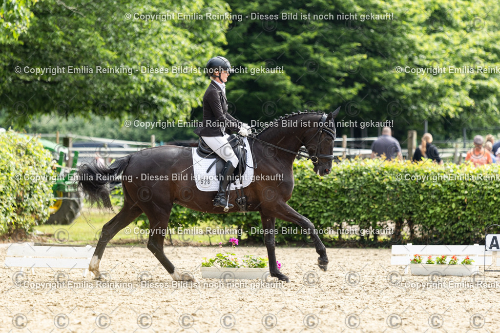 CL5A5675 | Emilia Reinking Fotografie - Realisiert mit Pictrs.com