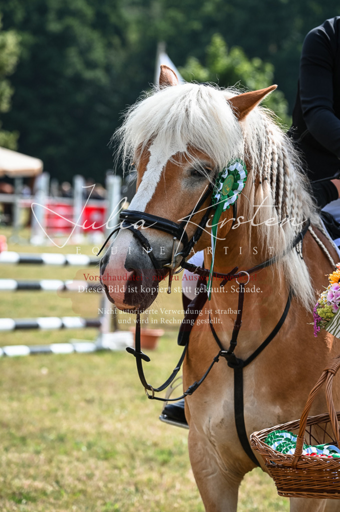 DSC_8618 | Pferde- und Turnierfotografie in Westsachsen. Pferdeportraits, Auftragszeichnungen und intuitive Kunst.
