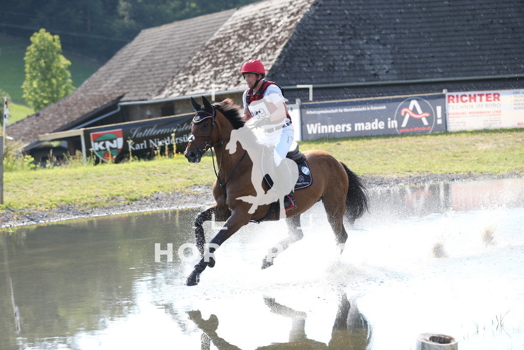 DL2Q3114 | Willkommen bei Brunnmayr - Design & Fotografie – Ihrem Spezialisten für Reitturniere und Pferdeveranstaltungen in Oberösterreich, Salzburg und Bayern! Seit über 17 Jahren sind wir leidenschaftlich dabei.