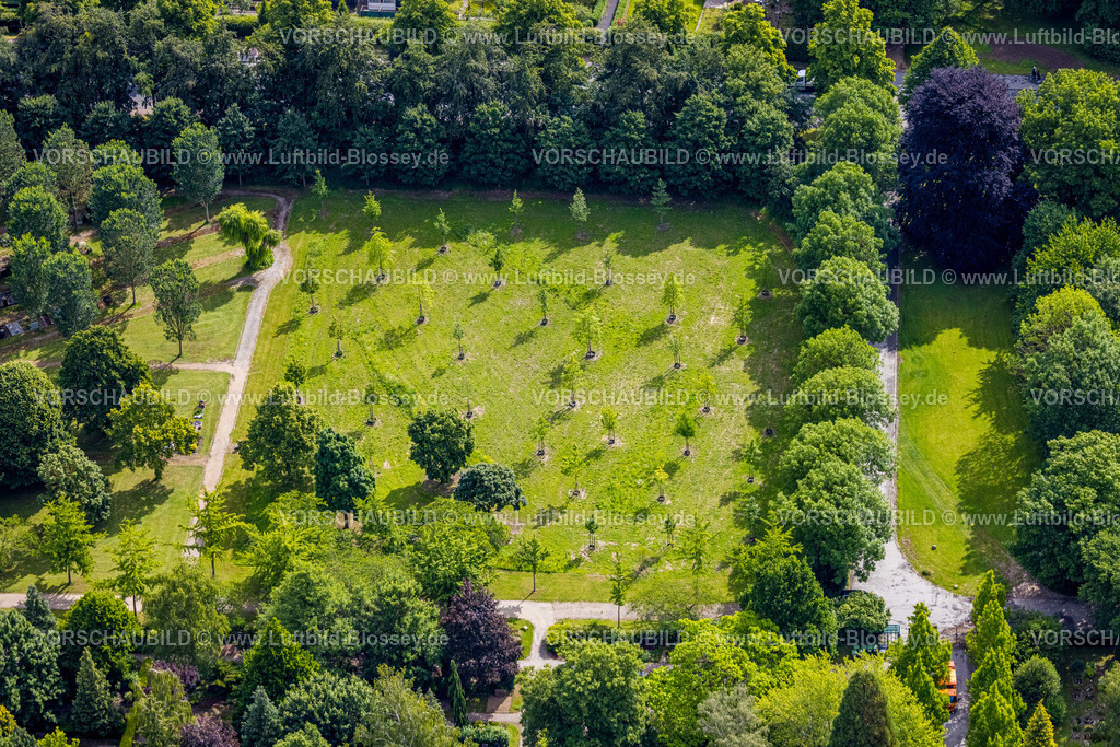 Soest220600379 | Luftbild, Wiese mit jungen Bäumen im Osthofenfriedhof, Soest, Soester Boerde, Nordrhein-Westfalen, Deutschland