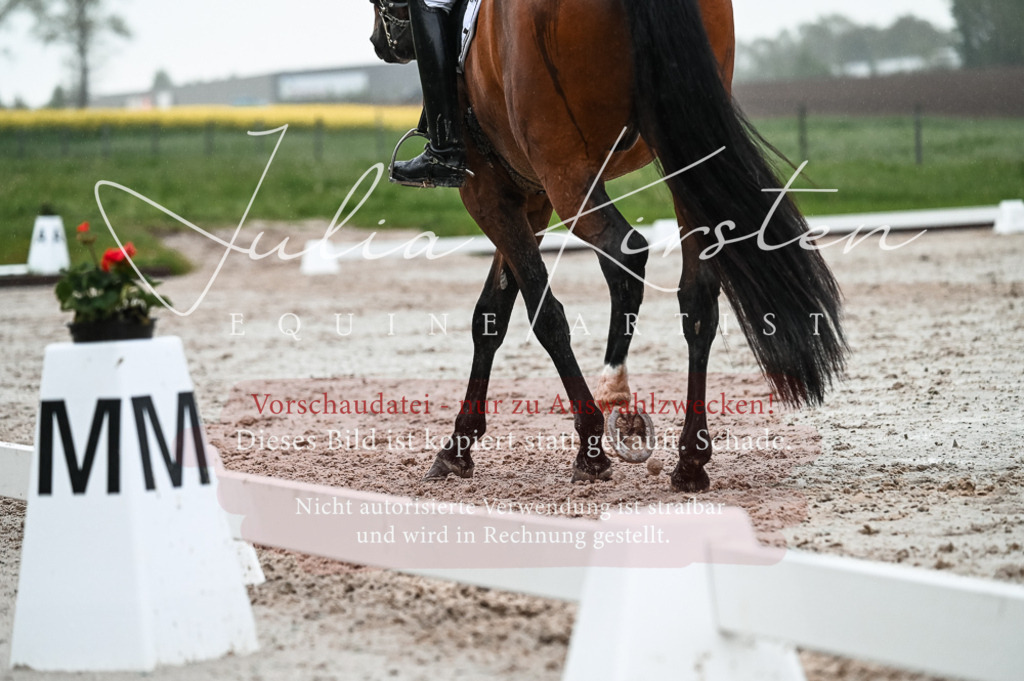 DSC_4584 | Pferde- und Turnierfotografie in Westsachsen. Pferdeportraits, Auftragszeichnungen und intuitive Kunst.