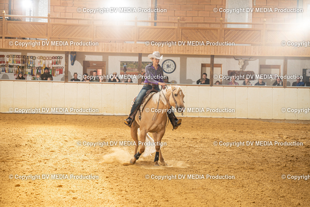 MIT01352 | dv-media-shop - Realisiert mit Pictrs.com