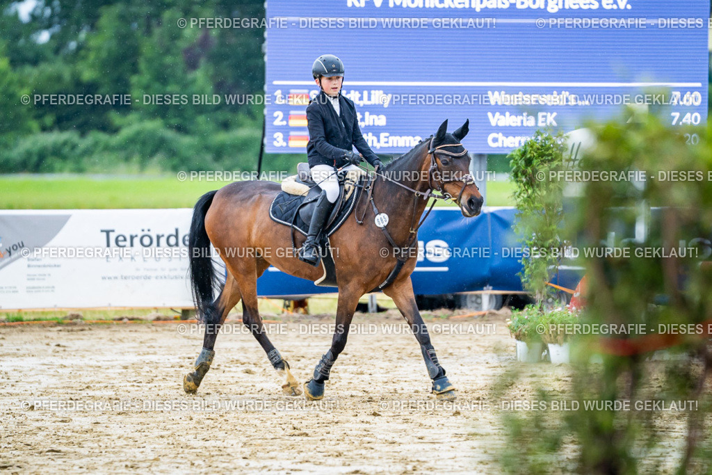 DSC01393 | Pferdegrafie