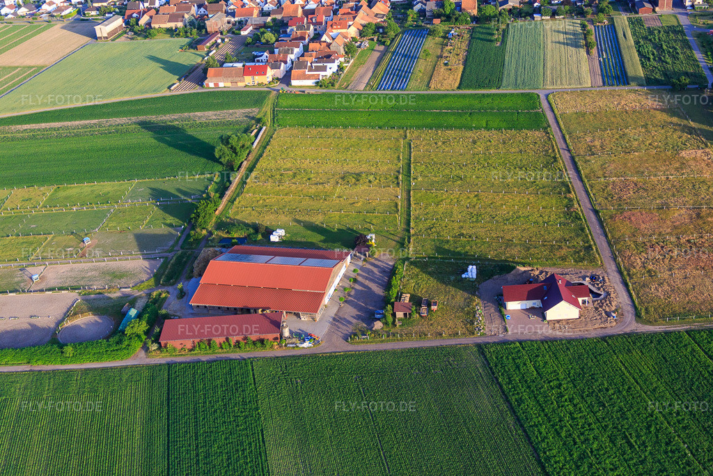 Luftbild: Pferdepension Seehof Trauth Kretz GbR in Hatzenbühl im Bundesland Rheinland-Pfalz in Deutschland. Foto: IMG_080877.jpg vom 13.06.2015 durch Werner Riehm/FLY-FOTO.deWWW.SEEHOF-TRAUTH.DE
