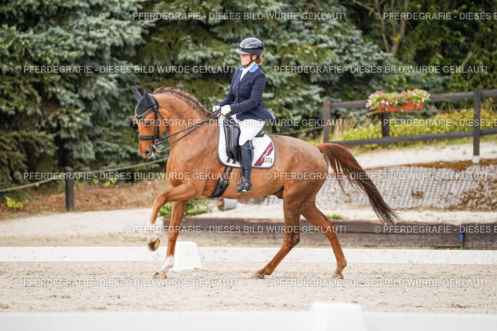 DSC08698 | Pferdegrafie