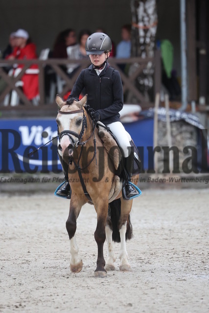 Ichenheim_2024_Prfg.Nr.26_Stilspring-WB_60cm_Frida Veil_Ulbargens EDISON (1) | Alle Fotos der Reiterjournal Fotografin Doris Matthaes im Reiterjournal Online-Fotoshop. - Realisiert mit Pictrs.com