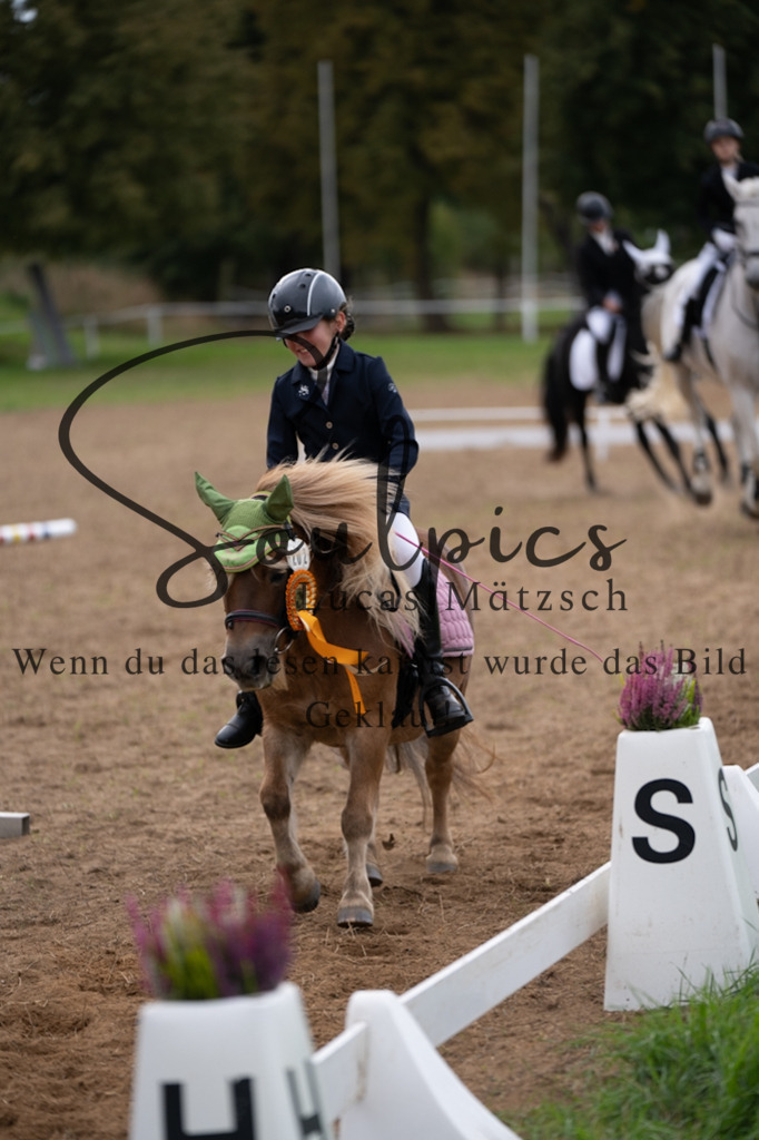 A7V05162 | Pferdefotograf