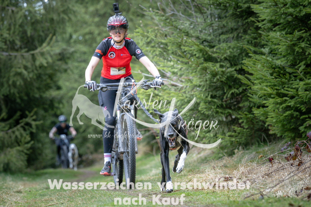 1311_ZZ93883 | kk-dogfotos