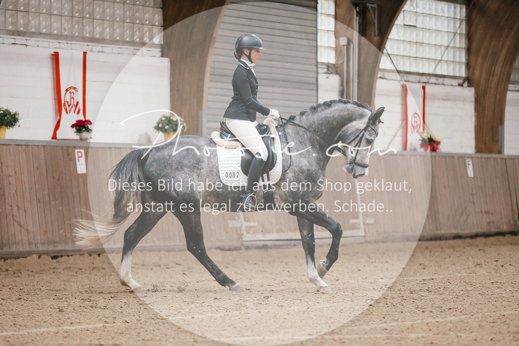 3I6A6077 | Stimmungsvolle Portraits und Reitsportfotografie im Ruhrgebiet und im Münsterland.

Pferdefotografie, Hundefotografie, Tierfotografie, Reportagen, Portraits von Tier und Mensch, Turnierfotografie in Bochum, Recklinghausen, Marl, Haltern am See, Dülmen.. - Realisiert mit Pictrs.com