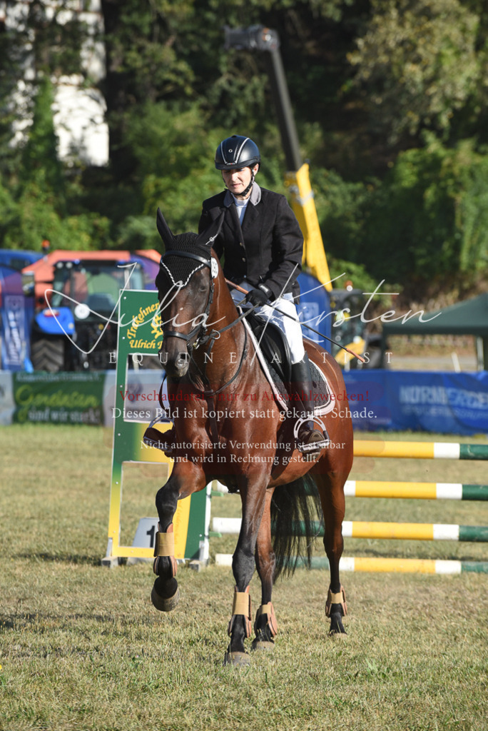 DSC_5216 | Pferde- und Turnierfotografie in Westsachsen. Pferdeportraits, Auftragszeichnungen und intuitive Kunst.