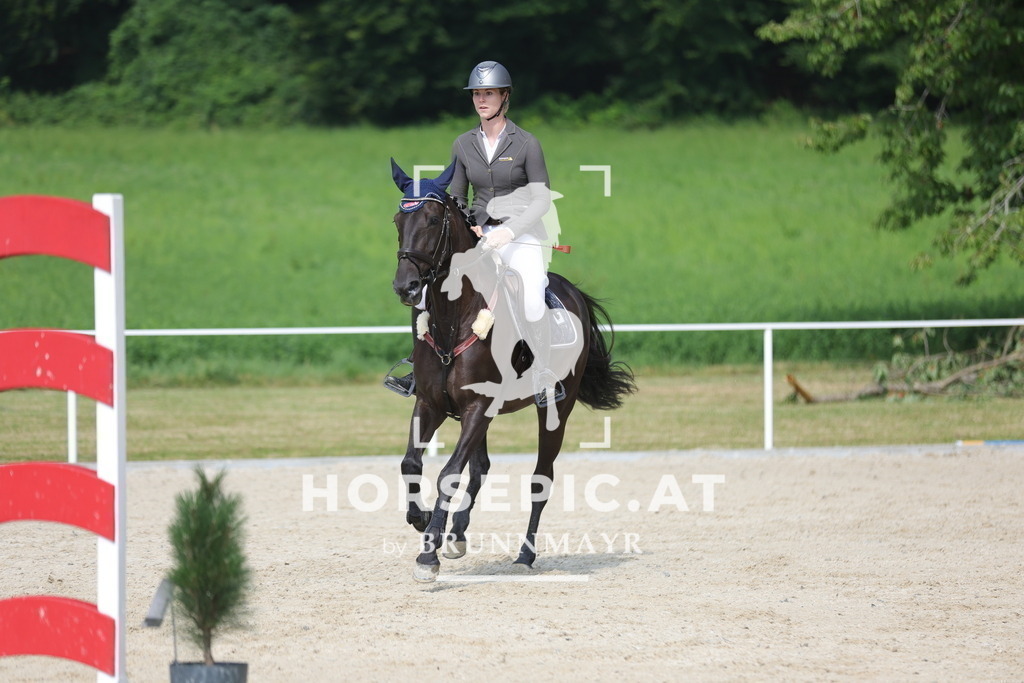 0P6A8258 | Willkommen bei Brunnmayr - Design & Fotografie – Ihrem Spezialisten für Reitturniere und Pferdeveranstaltungen in Oberösterreich, Salzburg und Bayern! Seit über 17 Jahren sind wir leidenschaftlich dabei.