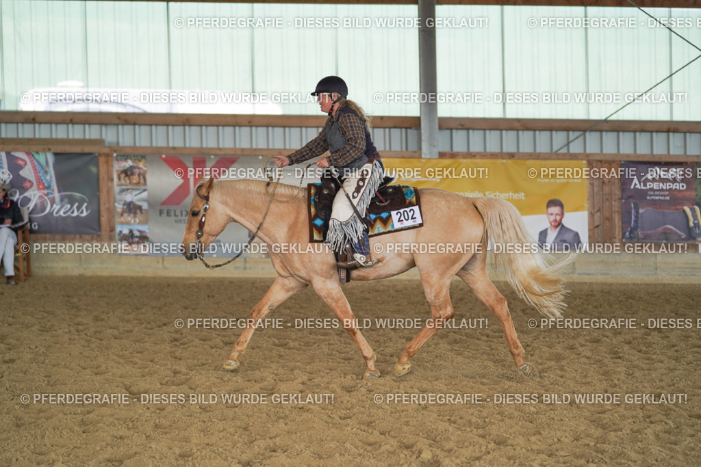 DSC00980 | Pferdegrafie