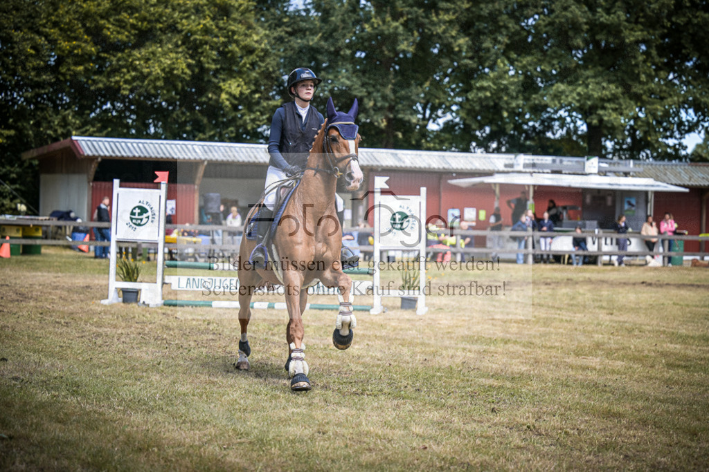 DOS_0037 | Entdecke hochwertige Reitturnierfotos von Foto Oger. Professionell, emotional und authentisch – jetzt Lieblingsmomente im Shop bestellen.Deutschlandweite Turnierfotografie. - Realisiert mit Pictrs.com