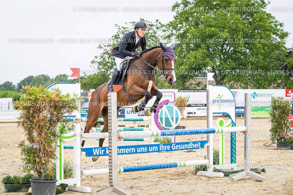 DSC09372 | Pferdegrafie