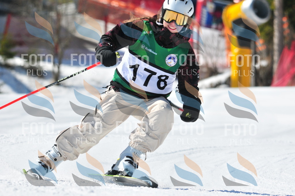 C4275 | holidayphoto