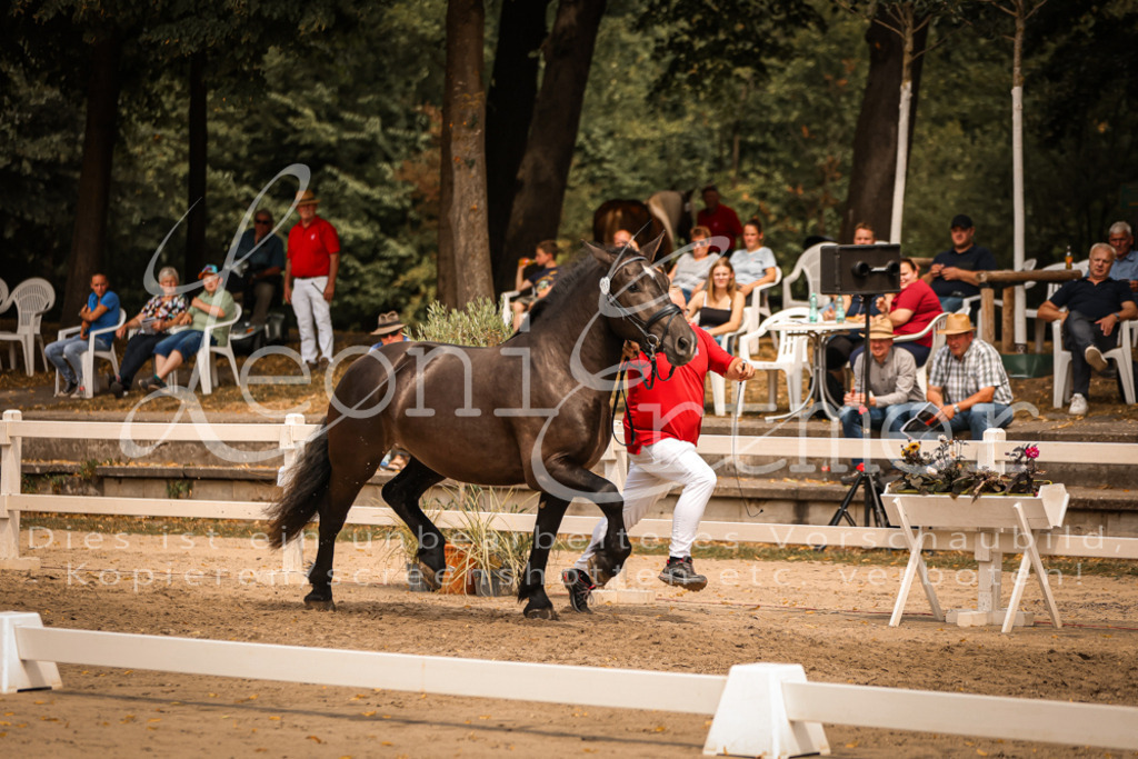 4.Sa00050 | Leoni Ertmer Photography - Realisiert mit Pictrs.com