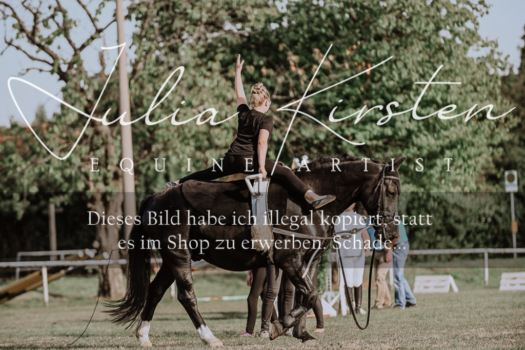 DSC_9840 | Pferde- und Turnierfotografie in Westsachsen. Pferdeportraits, Auftragszeichnungen und intuitive Kunst.