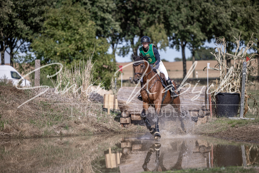 20260906-_3LI5623 | Tierfotografie Pferde, Hunde, Katzen, Haustiere.
Turnierfotografie Reitturniere, Reiten, Springreiten, Dressur in Hanau, dem Main-Kinzig-Kreis und dem Rhein-Main- Gebiet um Frankfurt