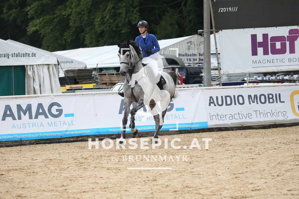DL2Q2040 | Willkommen bei Brunnmayr - Design & Fotografie – Ihrem Spezialisten für Reitturniere und Pferdeveranstaltungen in Oberösterreich, Salzburg und Bayern! Seit über 17 Jahren sind wir leidenschaftlich dabei.