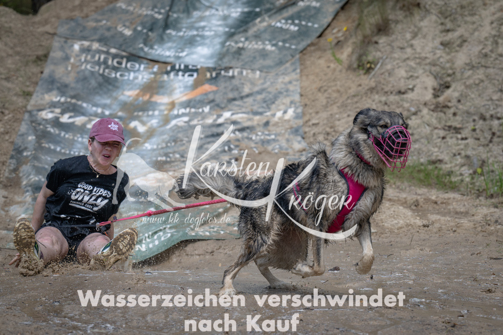 1458_ZZ91457 | kk-dogfotos