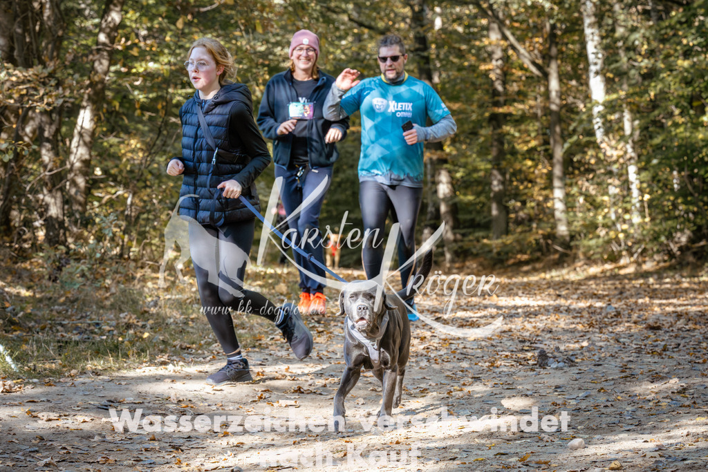 1240_ZZ95816 | kk-dogfotos