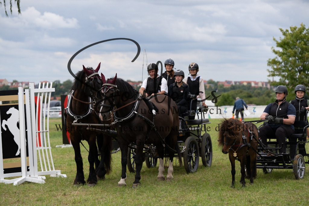A7V06176 | Turnier/Reitfotograf