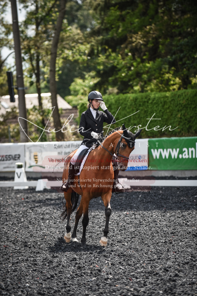 DSC_4364 | Pferde- und Turnierfotografie in Westsachsen. Pferdeportraits, Auftragszeichnungen und intuitive Kunst.