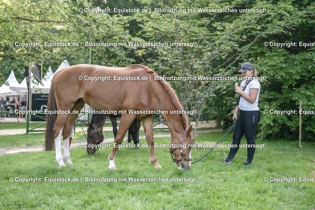 ZFC_4142 | equistock