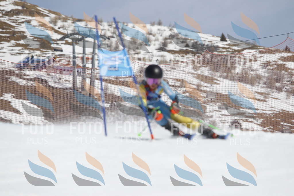 _U3G2072 | holidayphoto