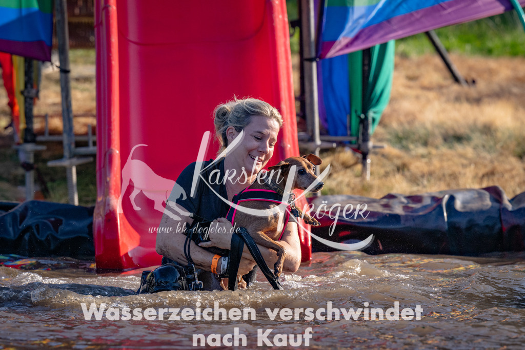 1734_ZZ91041 | kk-dogfotos