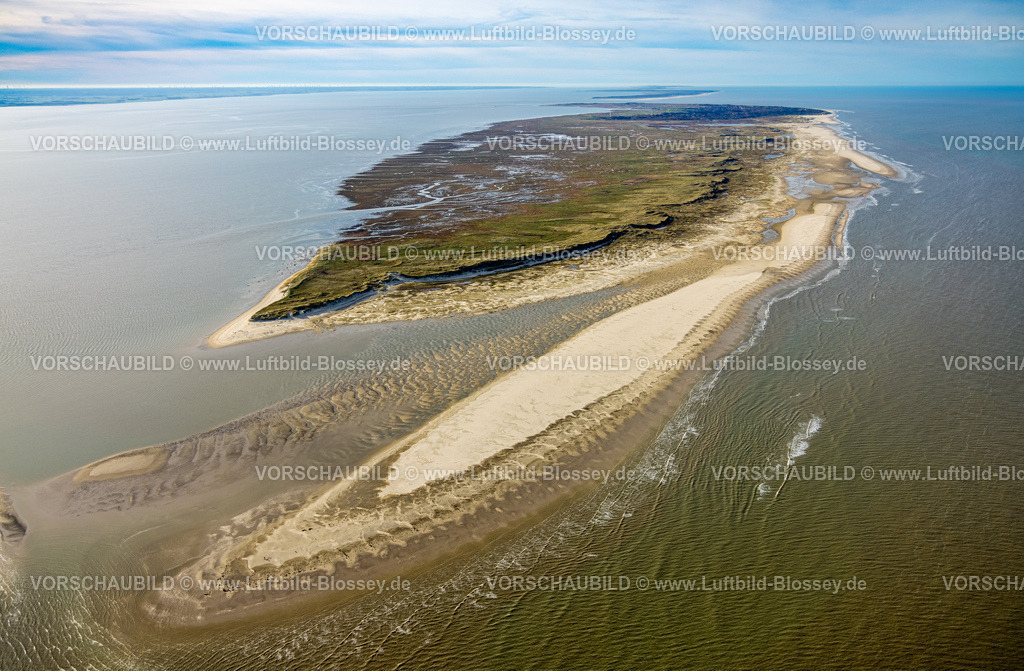 Wittmund251106138Spiekeroog | Luftbild, Gesamtansicht Ostfriesische Insel Spiekeroog, Nordstrand und Ostplate Wildnisgebiet, Ostende mit Fernsicht und blauer Himmel mit Horizont, Spiekeroog, Norddeutschland, Ostfriesland, Niedersachsen, Deutschland