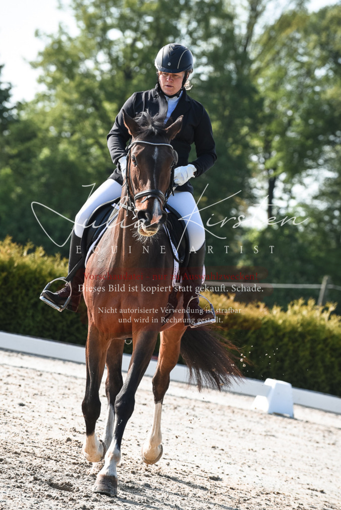 20230518_JK-Röhrsdorf-09-0728 | Pferde- und Turnierfotografie in Westsachsen. Pferdeportraits, Auftragszeichnungen und intuitive Kunst.