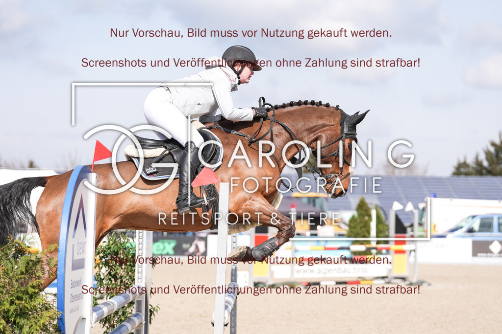 DSC05387 | Late_entry_Springturnier_Bad_Wurzach, Emmes_M, Maximiliane_Fimpel