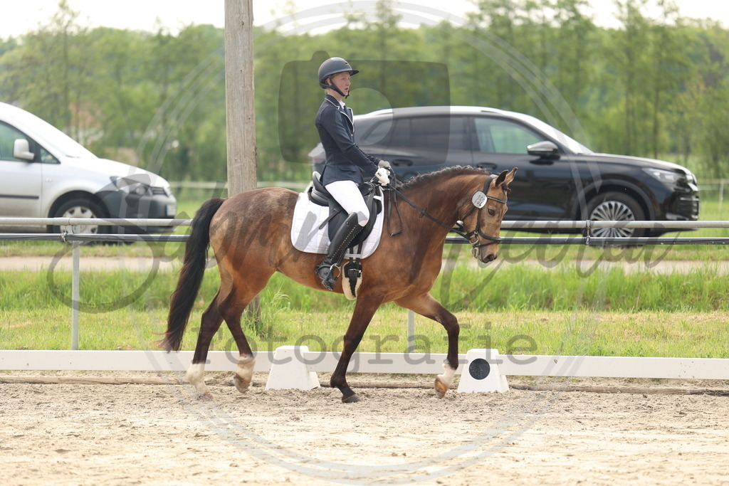 994A6297 | sabrinanicolaifotografie - Realisiert mit Pictrs.com