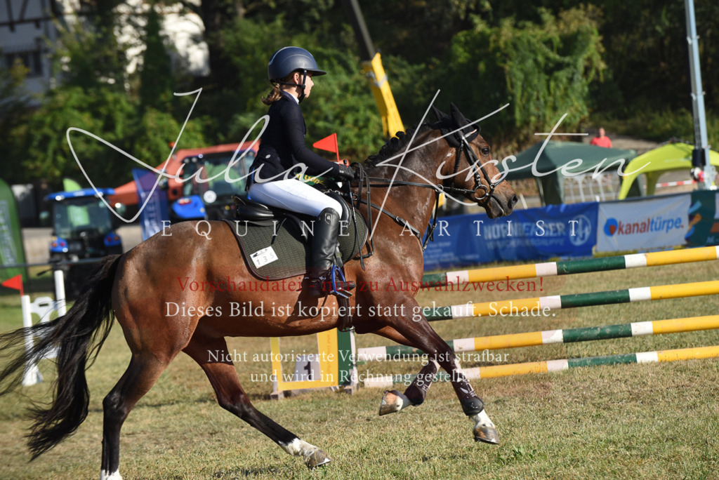 DSC_5105 | Pferde- und Turnierfotografie in Westsachsen. Pferdeportraits, Auftragszeichnungen und intuitive Kunst.