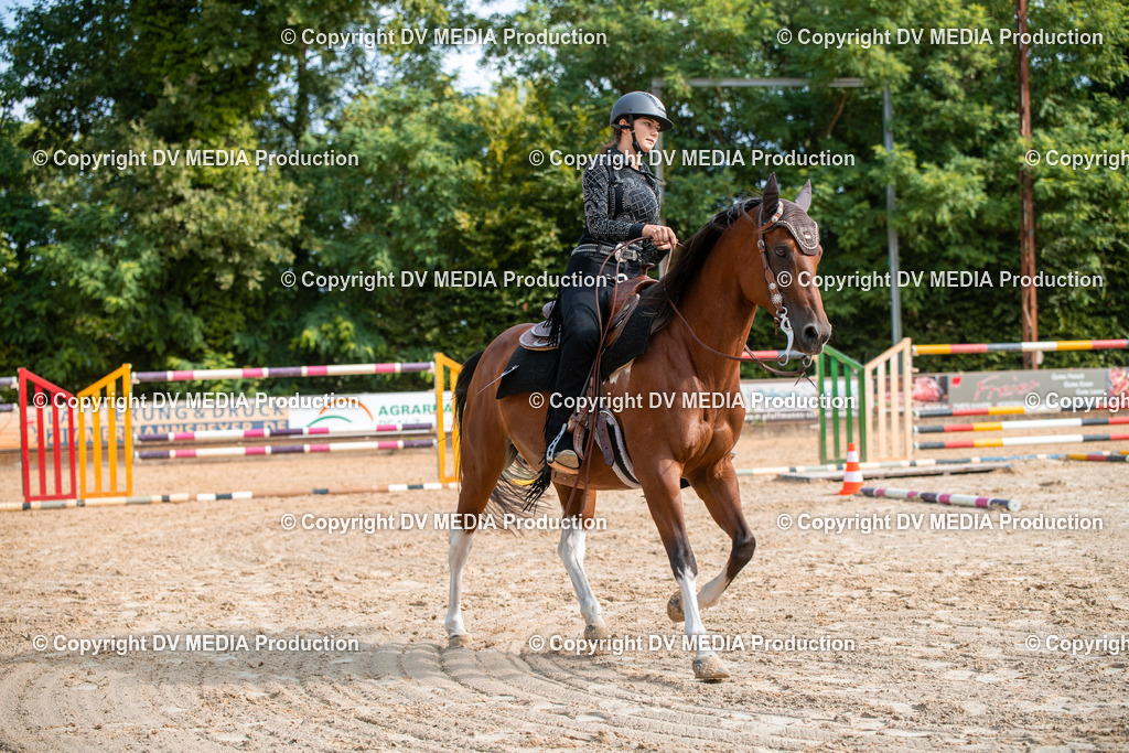 ZS2_7525 | dv-media-shop - Realisiert mit Pictrs.com