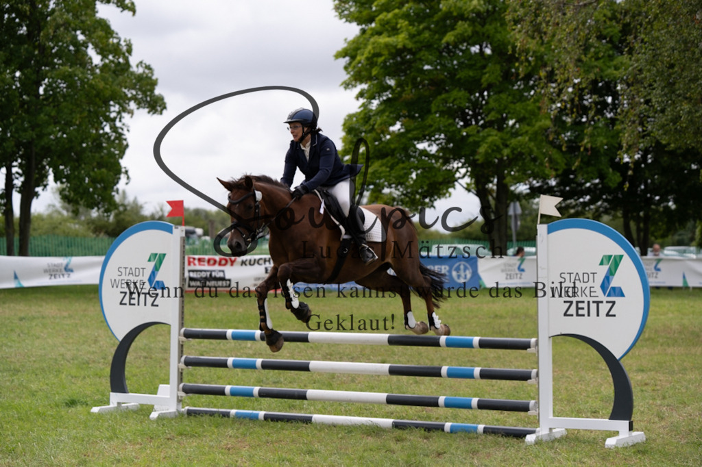 A7V05458 | Pferdefotograf