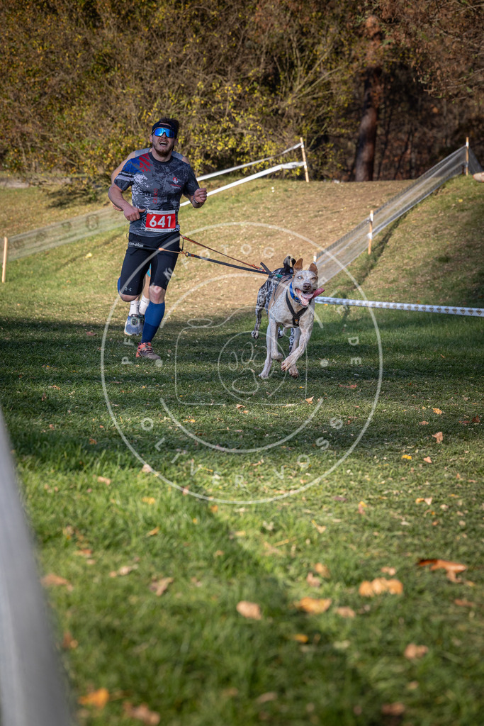 CaniXpix_0L8A9008 | Hundefotografie, Tierfotograf, Pfotenfotografie, Fotoshooting Hund, Hunde Portrait, Hundesport, Hundeportraits, Heideshooting, Hunde, Sportfotograf, Hundefotograf, Turnierhundsport, THS,  - Realisiert mit Pictrs.com