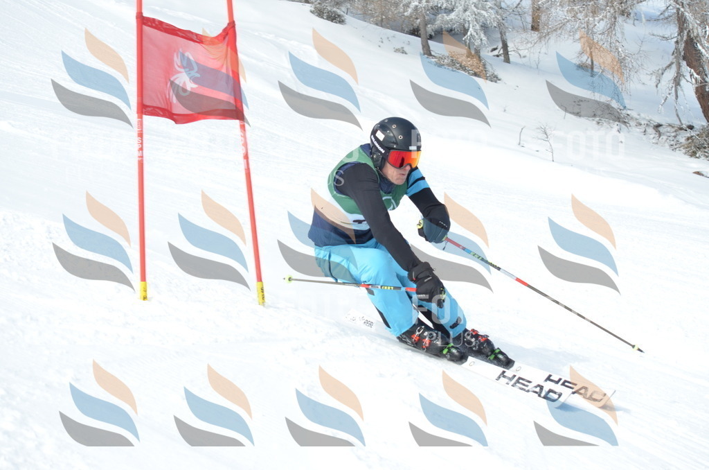 D8975 | holidayphoto