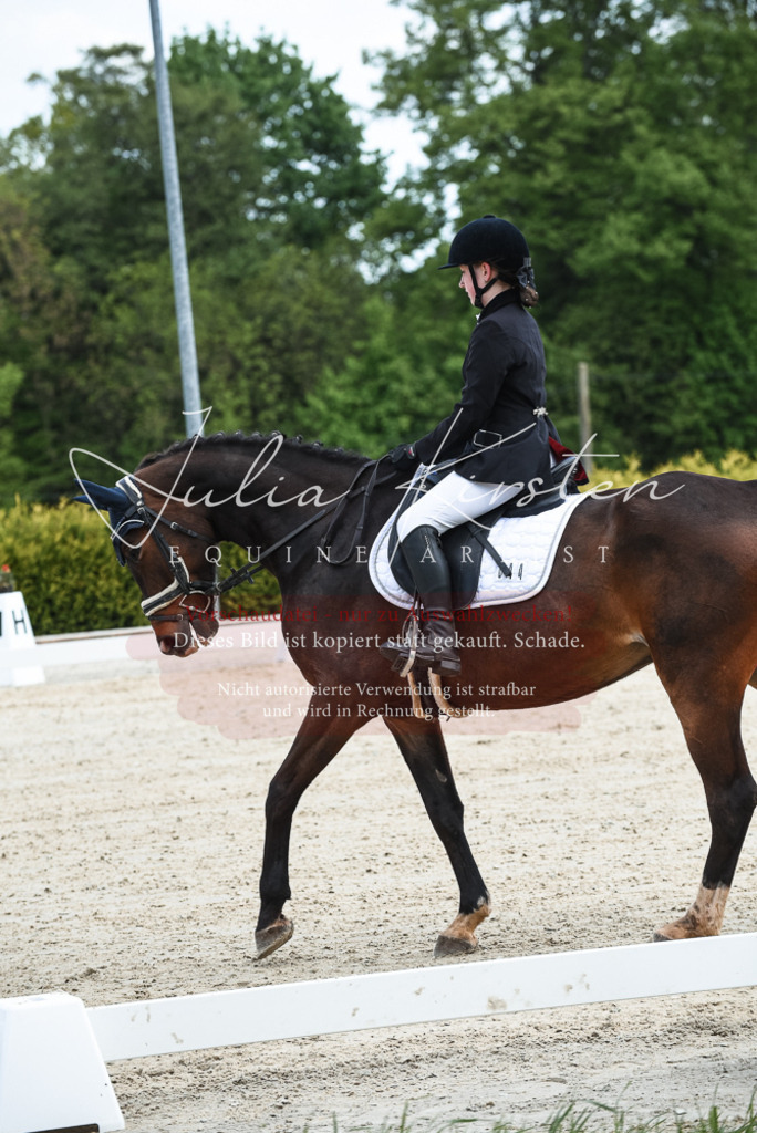 20230518_JK-Röhrsdorf-12-0065 | Pferde- und Turnierfotografie in Westsachsen. Pferdeportraits, Auftragszeichnungen und intuitive Kunst.