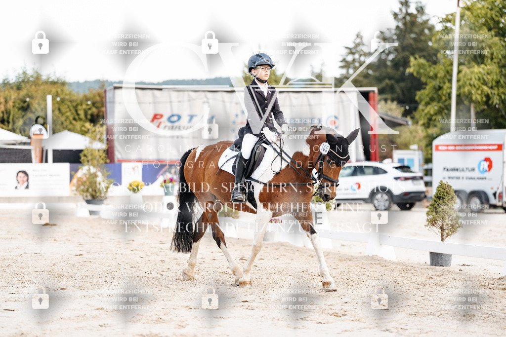CK904657 | Turnierfotografie Pferdefotografie Trier Rheinland-Pfalz Pferdesport Reitsport Tierfotografie Sportfotografie Pferdevideo Pferdevideografie Equestrianvideography equestrianphotography  - Realisiert mit Pictrs.com