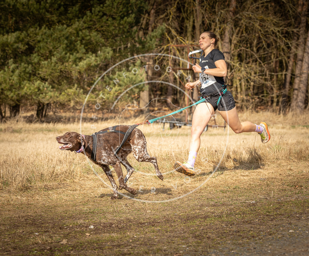 DV3A5628 | Hundefotografie, Tierfotograf, Pfotenfotografie, Fotoshooting Hund, Hunde Portrait, Hundesport, Hundeportraits, Heideshooting, Hunde, Sportfotograf, Hundefotograf, Turnierhundsport, THS,  - Realisiert mit Pictrs.com