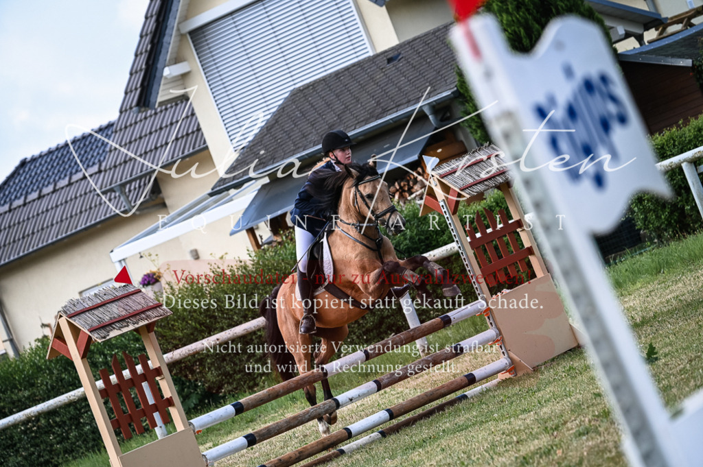 DSC_8043 | Pferde- und Turnierfotografie in Westsachsen. Pferdeportraits, Auftragszeichnungen und intuitive Kunst.